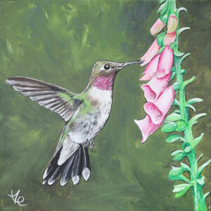 hummingbird feeding from a foxglove painting