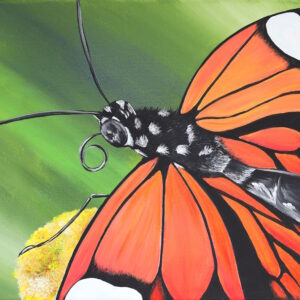 monarch butterfly painting