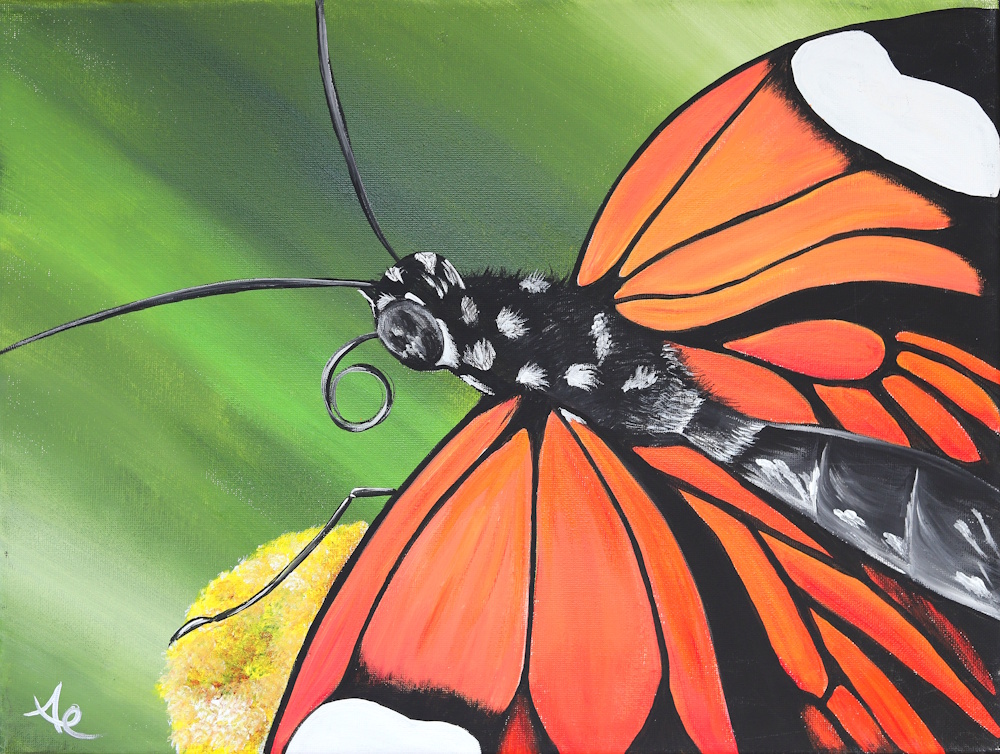 monarch butterfly painting