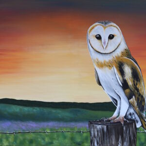 owl sunset painting