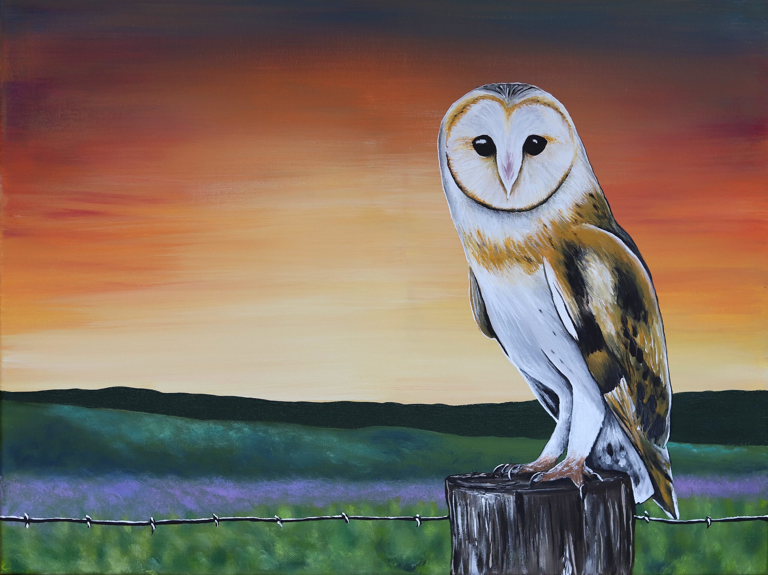 owl sunset painting